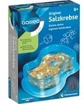 Galileo Lab Original Salzkrebse, Experimentierkasten