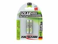 Solar NiMH Akku Micro AAA 550 mAh maxE - 2x AAA (Micro)