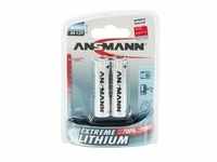 Extreme Lithium Mignon AA, Batterie - silber, 2x Lithium