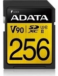 Premier One 256 GB SDXC, Speicherkarte