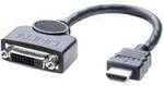 HDMI/DVI-D Adapterkabel