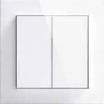 Friends of Hue Smart Switch, Taster
