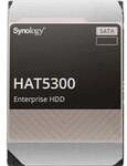 HAT5300-12T, Festplatte