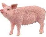 Farm World Schwein, Spielfigur