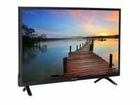 TX-24LSW504, LED-Fernseher - 60 cm (24 Zoll), schwarz, WXGA, Triple Tuner, Android TV