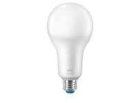 Colors LED-Lampe 18,5 W A80 E27 - ersetzt 150 Watt