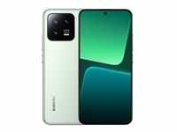 13 256GB, Handy - Flora Green, Android 13