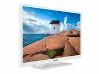 XH24SN550MV-W, LED-Fernseher - 60 cm (24 Zoll), weiß, WXGA, Triple Tuner, HDR