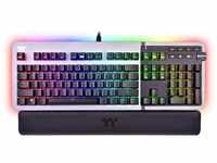 ARGENT K5 RGB, Gaming-Tastatur - titan/schwarz, DE-Layout, Cherry MX RGB Speed...