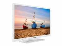 XH24N550M-W, LED-Fernseher - 60 cm (24 Zoll), weiß, WXGA, Triple Tuner, HDMI
