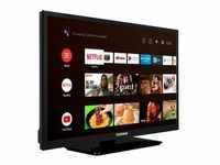 XH24AN550MV, LED-Fernseher - 60 cm (24 Zoll), schwarz, FullHD, AndroidTV, HDR, WLAN