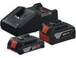 Starter-Set 18V (GBA 18V 4,0/2,0Ah + GAL 18V-40 Professional)