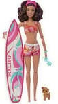 Barbie Surf-Puppe & Accy