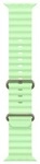 Apple 49mm Neongr&uuml;n Ocean Band - Natural Titanium Finish
