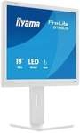 iiyama ProLite B1980S-W1 48.3cm (19") SXGA TN LED 5:4 75 Hz Office Monitor
