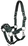 Waldhausen Longierhalfter Economic Kappzaum Nylon gepolstert, tannengr&uuml;n Pony