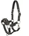 Waldhausen Longierhalfter Economic Kappzaum Nylon gepolstert, schwarz VB