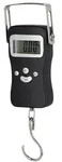 Digitale H&auml;ngewaage, DigiScale 50, kalibrierf&auml;hig, bis 50kg