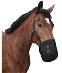 Maulkorb f&uuml;r Pferde und Ponys - Fressbremse mit Halfter, Vollblut (Gr.2)