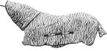 RugBe by Covalliero Zebra Fliegendecke mit Halsteil, Ekzemerdecke, 165cm