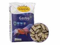 HAVENS Gastro+, Pellets für Pferde mit Magenproblemen & Stress, 20kg