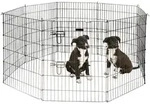 Welpen- und Kleintiergehege, Freilauf