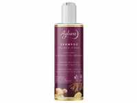 brands - Ayluna Naturkosmetik Wurzelstärke - Shampoo 250 ml