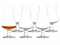 Stölzle Lausitz - Nosing Glass Whiskygläser 6er Set Gläser