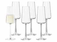 Stölzle Lausitz - Power Champagnergläser 6er Set Gläser