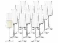 Stölzle Lausitz - Power Champagnergläser 12er Set Gläser