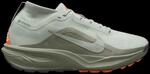 Nike ACG Pegasus Trail GORE-TEX Trailschuhe Herren Light Silver Gr. 42.5