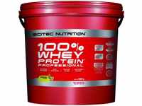 Scitec Nutrition 100% Whey Protein Professional - 5000g - Schoko-Kokos,...