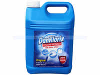 ReinigungsBerater DanKlorix Hygienereiniger 5 L...