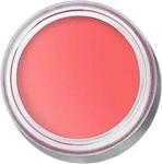 Bobbi Brown H2BM050000, Bobbi Brown Pot Rouge Velvet Matte Pflege 8,5 g,...