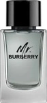 Burberry 82003972755, Burberry Mr. Burberry Eau de Toilette Spray 150 ml,...