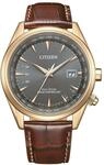 CITIZEN&reg; Herren Funkuhr "CB0273-11H", GOLD/BRAUN