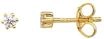 XENOX Damen Ohrstecker "XS3515G", 925er Silber, gold