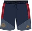 adidas Trainingshose FC Bayern M&uuml;nchen, Climacool, f&uuml;r Herren, blau, 128