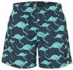 CHIEMSEE Badeshorts, schnelltrocknend, f&uuml;r Herren, blau, XXL