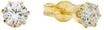 amor Damen Ohrstecker "2013782", 375er Gold, gold