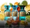 TOM FORD Private Blend Mandarino Di Amalfi, Eau de Parfum, Unisex, Frisch