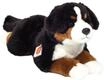 HERMANN Teddy COLLECTION&reg; Kuscheltier "Berner Sennenhund", liegend, 40 cm, schwarz