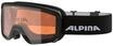 ALPINA Skibrille "Scarabeo S QH", schwarz, OneSize