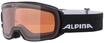 ALPINA Skibrille "Nakisaka Q", schwarz, OneSize