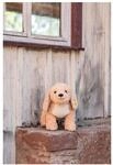 Steiff Soft Cuddly Friends Kuscheltier "Berno Goldendoodle", 36cm, beige