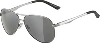Alpina A851724033201, Alpina A 107 Sonnenbrille (332 titanium matt, Ceramic, Scheibe: