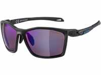 Alpina Twist Five HM+ Sportbrille (Farbe: 032 black matt (blue), Scheibe: Hicon...