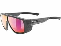 uvex MTN Style Polavision Sportbrille (Farbe: 2530 black/grey matt,...