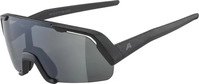 Alpina A871524033101, Alpina Rocket Youth Sportbrille (331 black matt, Ceramic,