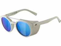 Alpina Glace Sportbrille (Farbe: 321 cool grey matt, Ceramic, Scheibe: iceblue...